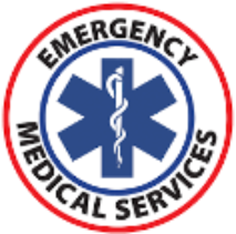 AMBULANCIAS EN SANTIAGO &  REGIONES SERVICIOS                  DE EMERGENCIA MEDICA